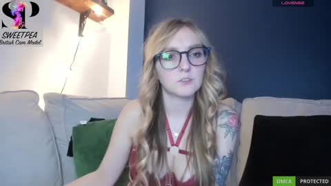 short sweetpea online show from 16, 12, 2024