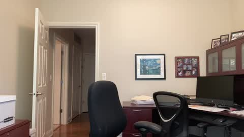 Chicago Guy online show from 12, 7, 2026