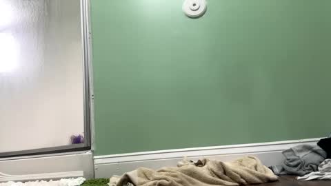 Snapshot of shyg1r1 chatting on 27, 2, 2025 Sasha online show from 27, 2, 2025