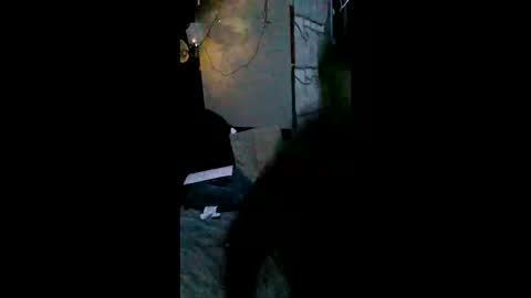 Snapshot of shylom chatting on 15, 2, 2026 shylom online show from 15, 2, 2026