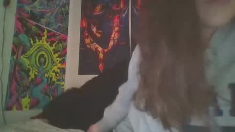 RBXs Princess online show from 18, 12, 2024