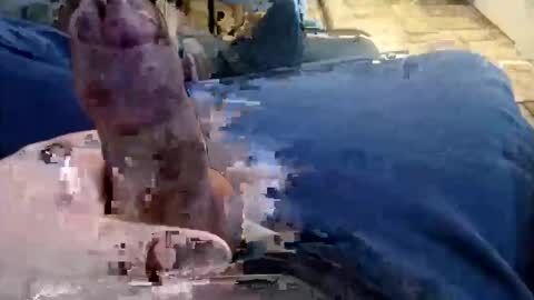 shynessy online show from 15, 12, 2025