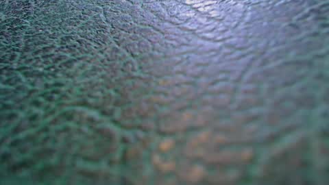 Tom and Betty online show from 19, 2, 2026