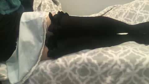 shysissy12 online show from 28, 9, 2025