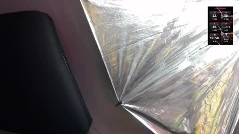 Sienna online show from 5, 2, 2026