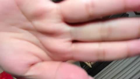 Belle online show from 12, 3, 2025