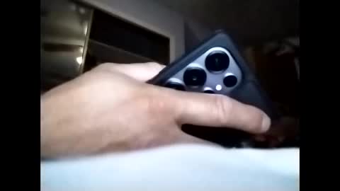 sil15nissan online show from 25, 3, 2026