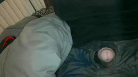 Snapshot of silentstiffler chatting on 30, 11, 2025 silentstiffler online show from 30, 11, 2025