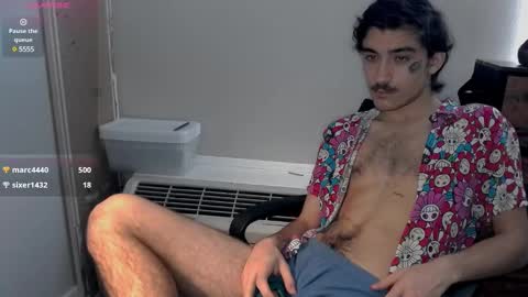 Snapshot of silly_cybin chatting on 19, 1, 2025 cybin online show from 19, 1, 2025