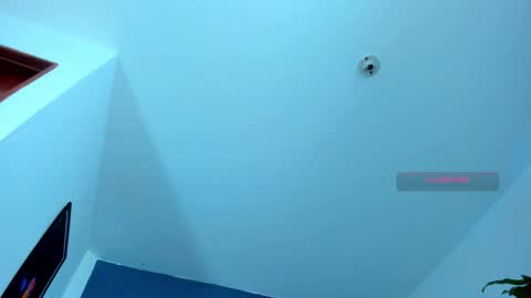 silvabranko online show from 9, 11, 2025