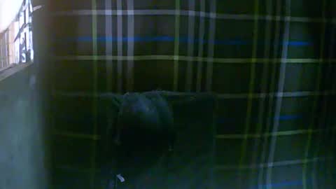 simply__me online show from 16, 2, 2026