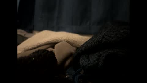 tigre online show from 13, 2, 2025