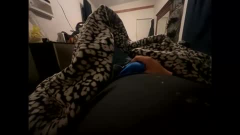 tigre online show from 13, 2, 2025