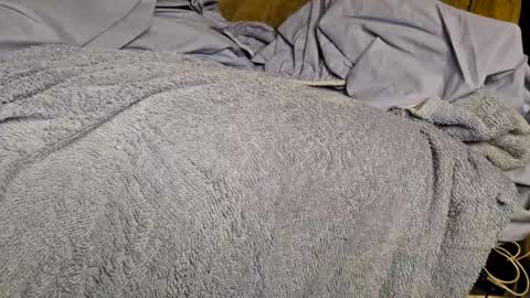 Sinseason online show from 3, 12, 2024