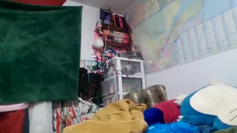 Siofra online show from 14, 9, 2025