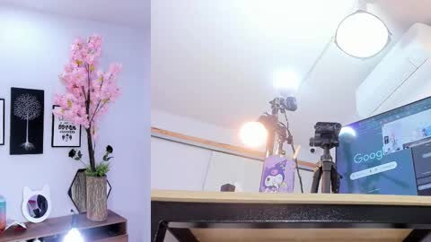 Siouxsie online show from 5, 2, 2026