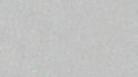 siren indira online show from 2, 4, 2026