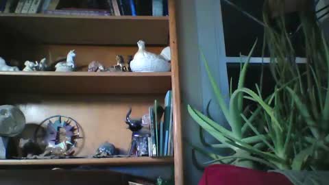 sirlicksaclit online show from 14, 1, 2025