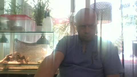 sixten113 online show from 29, 6, 2026