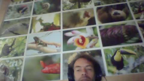 sji123 online show from 22, 2, 2025