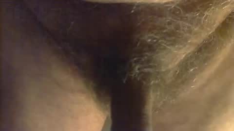 sjim368 online show from 31, 10, 2025