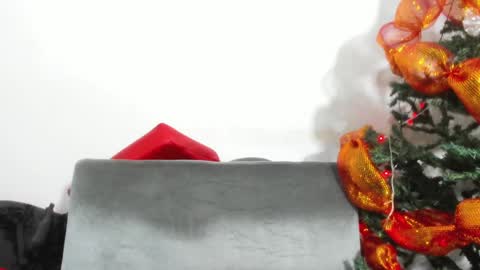 Skarleth online show from 6, 12, 2024