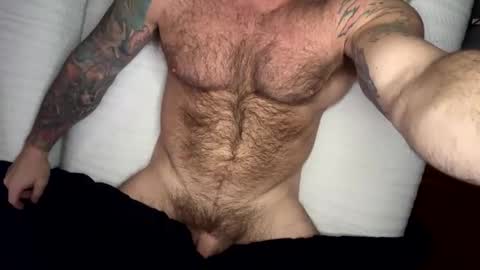 BEEF online show from 15, 2, 2025