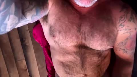 BEEF online show from 2, 3, 2025