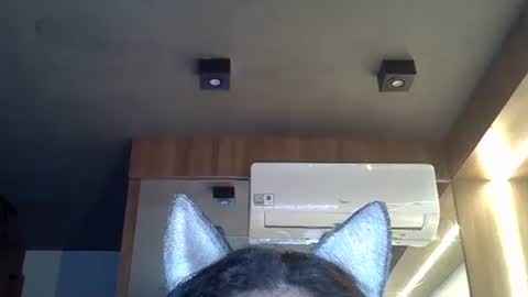 skinnykittencam online show from 10, 11, 2025