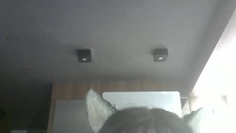 Snapshot of skinnykittencam chatting on 8, 5, 2026 skinnykittencam online show from 8, 5, 2026