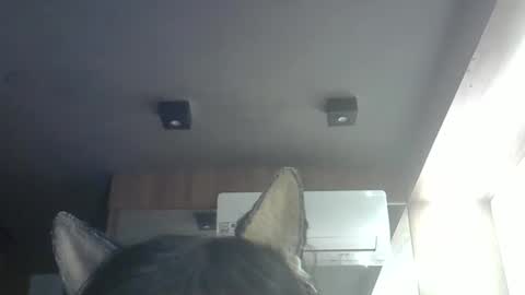 Snapshot of skinnykittencam chatting on 14, 5, 2026 skinnykittencam online show from 14, 5, 2026