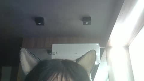 Snapshot of skinnykittencam chatting on 23, 5, 2026 skinnykittencam online show from 23, 5, 2026