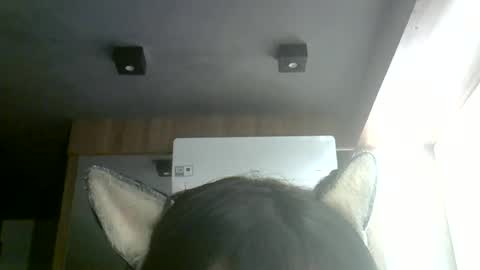 skinnykittencam online show from 4, 7, 2026