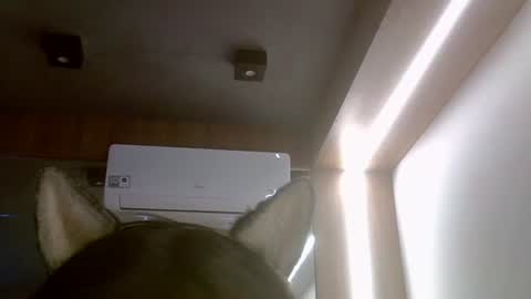 skinnykittencam online show from 16, 7, 2026