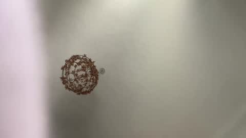 Snapshot of skuzzy25 chatting on 3, 3, 2025 skuzzy25 online show from 3, 3, 2025