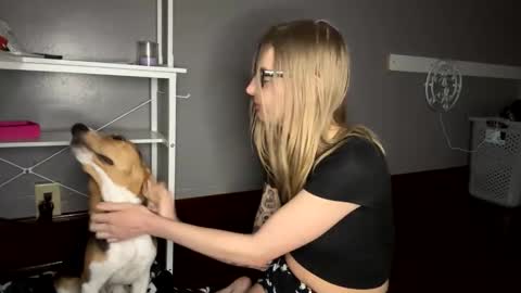 Sky  online show from 21, 11, 2025