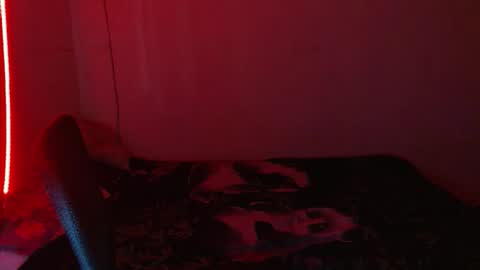 reep online show from 28, 11, 2025