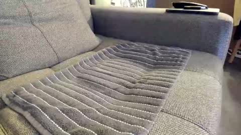 slaterboyyy online show from 6, 11, 2025