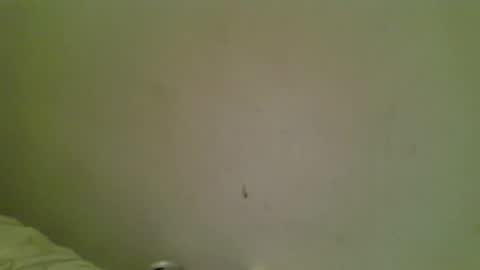 Bottmboitwink online show from 18, 10, 2025