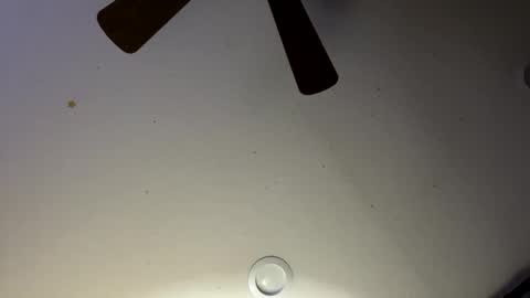 Slickdog online show from 30, 1, 2025