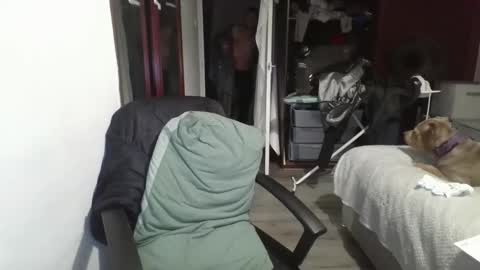 Snapshot of slim9846 chatting on 4, 11, 2025 Slim984 online show from 4, 11, 2025