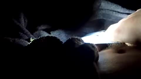 Snapshot of slimbigd69420 chatting on 17, 11, 2025 slimbigd69420 online show from 17, 11, 2025