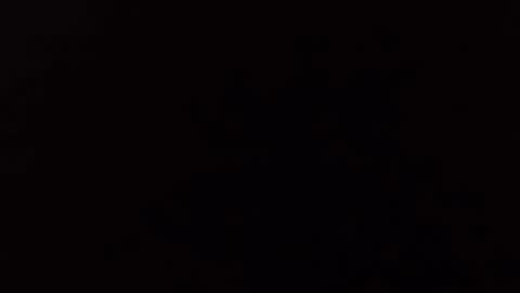 transmisin gratuita bajo demanda  free broadcast on demand online show from 2, 4, 2026