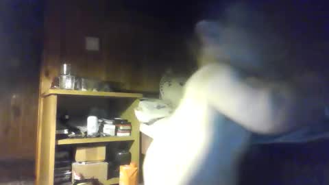 PIST PIST online show from 9, 10, 2025