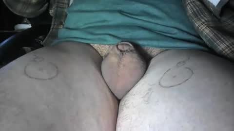 pussyfree4eva online show from 15, 2, 2026