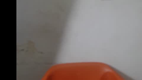 Snapshot of smallsluty chatting on 30, 6, 2026 smallsluty online show from 30, 6, 2026