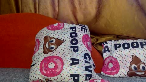 Noname online show from 7, 3, 2026