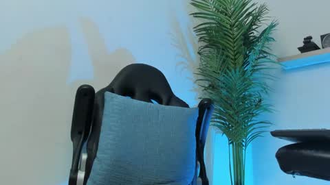 Snapshot of smitgrey chatting on 7, 12, 2024 SMIT online show from 7, 12, 2024