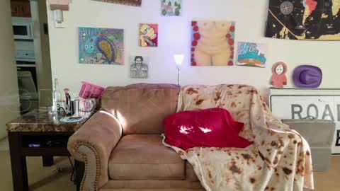 Snapshot of smokihippi chatting on 30, 5, 2026 Big Dawg online show from 30, 5, 2026