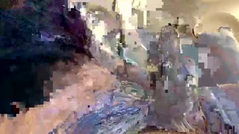 smokingdank online show from 18, 12, 2024